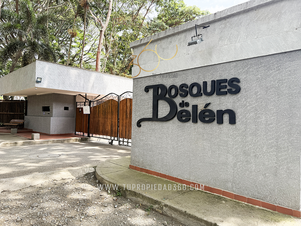 Belen 3