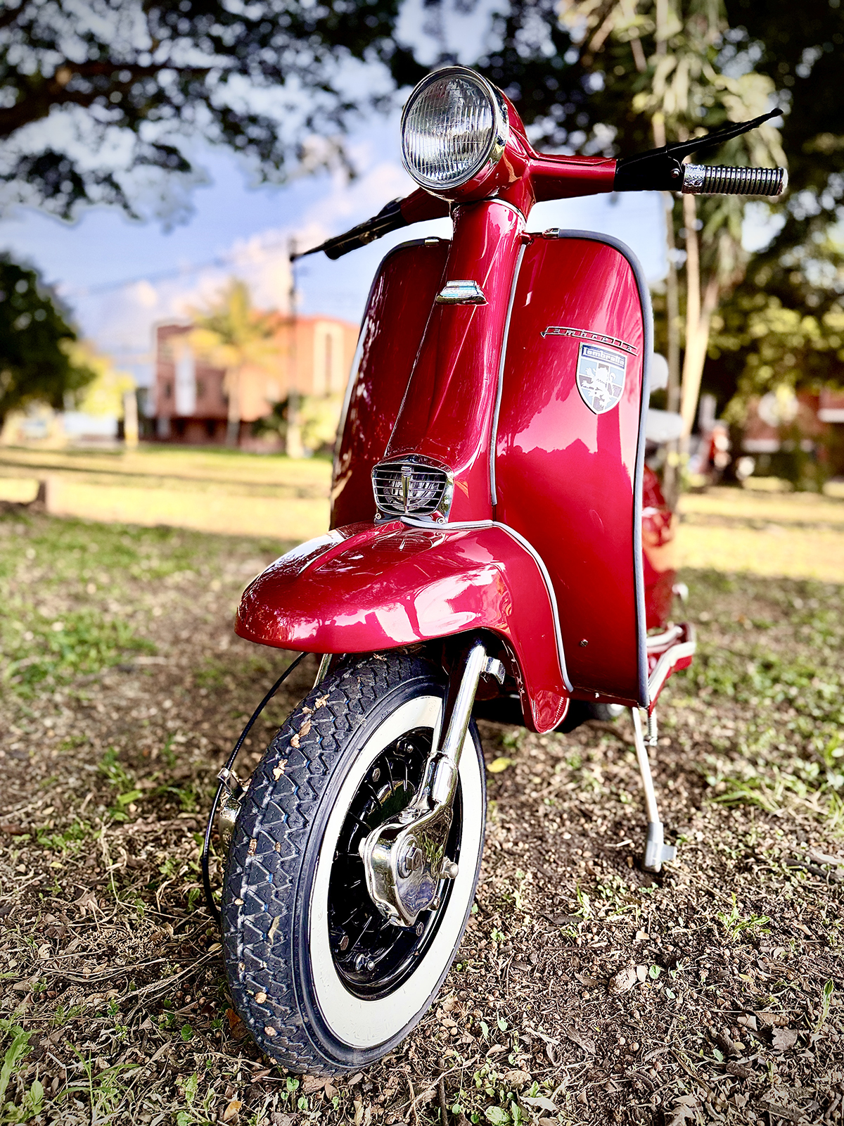 L16